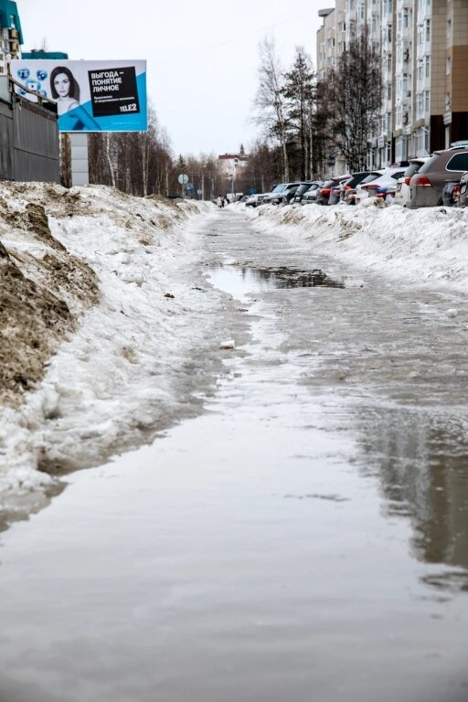    Впервые за 100 лет в Югре в феврале зафиксировали плюсовую температуру