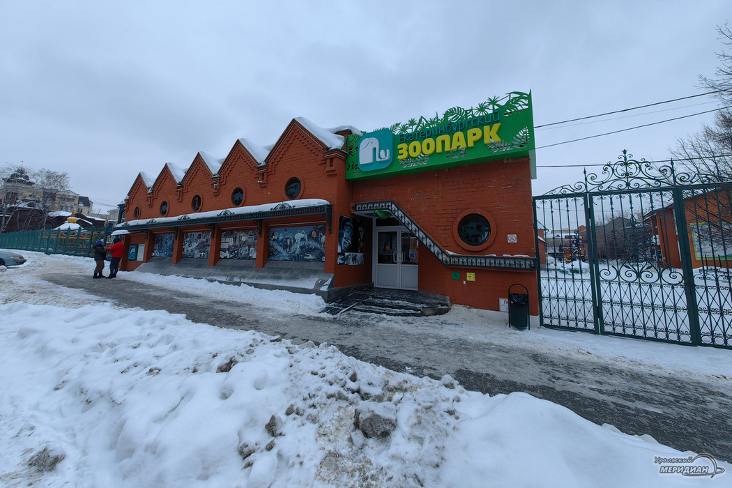    Фото: Лидия Аникина © ИА «Уральский меридиан»Фото: Лидия Аникина © ИА «Уральский меридиан»_cuva