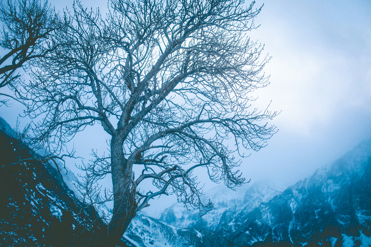 Картинка с бесплатного фотостока https://unsplash.com, автор Jessica Christian