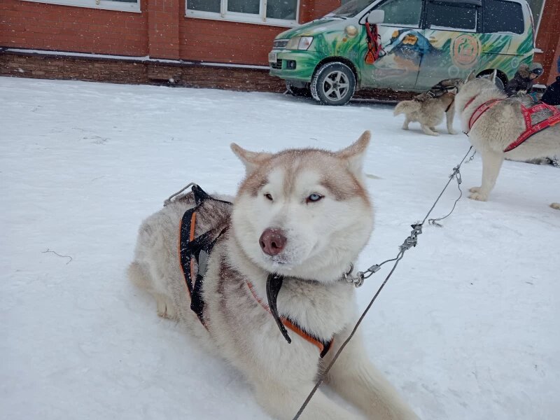 Листайте вправо, чтобы увидеть больше изображений