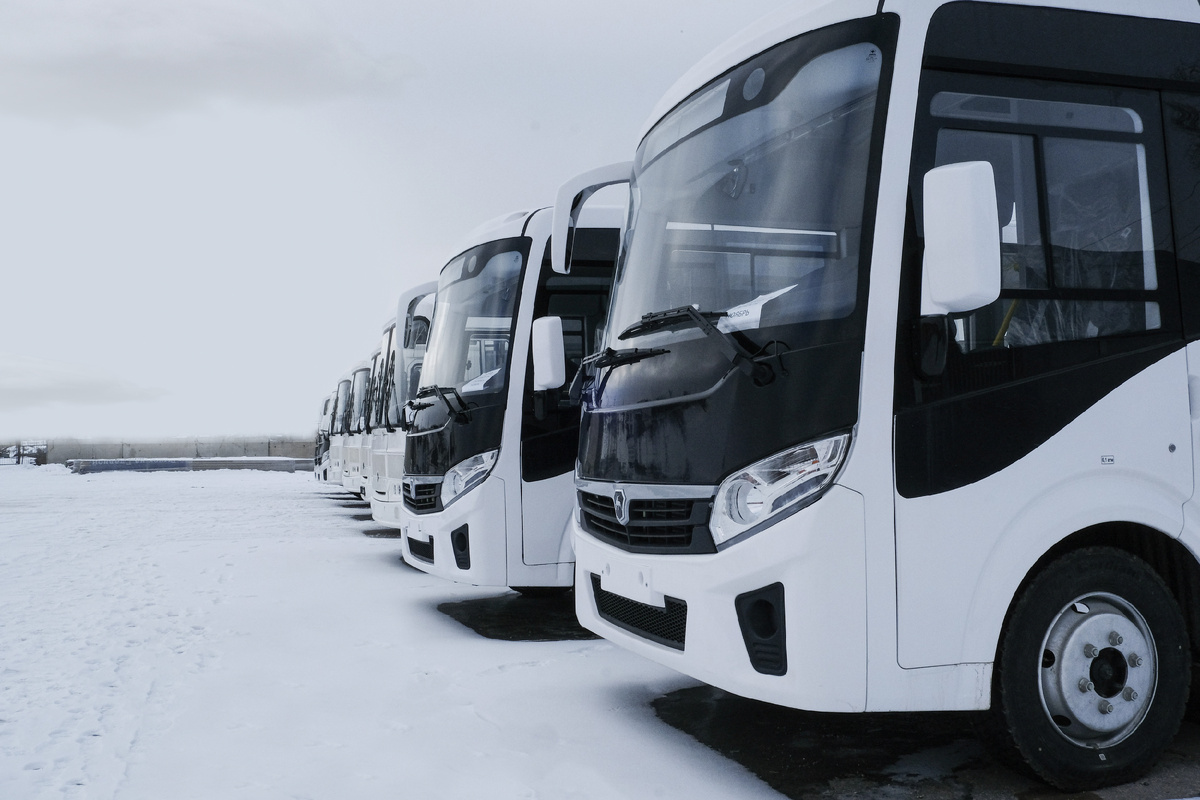 Автобусы ПАЗ в Самаре. Фото компании "Луидор"