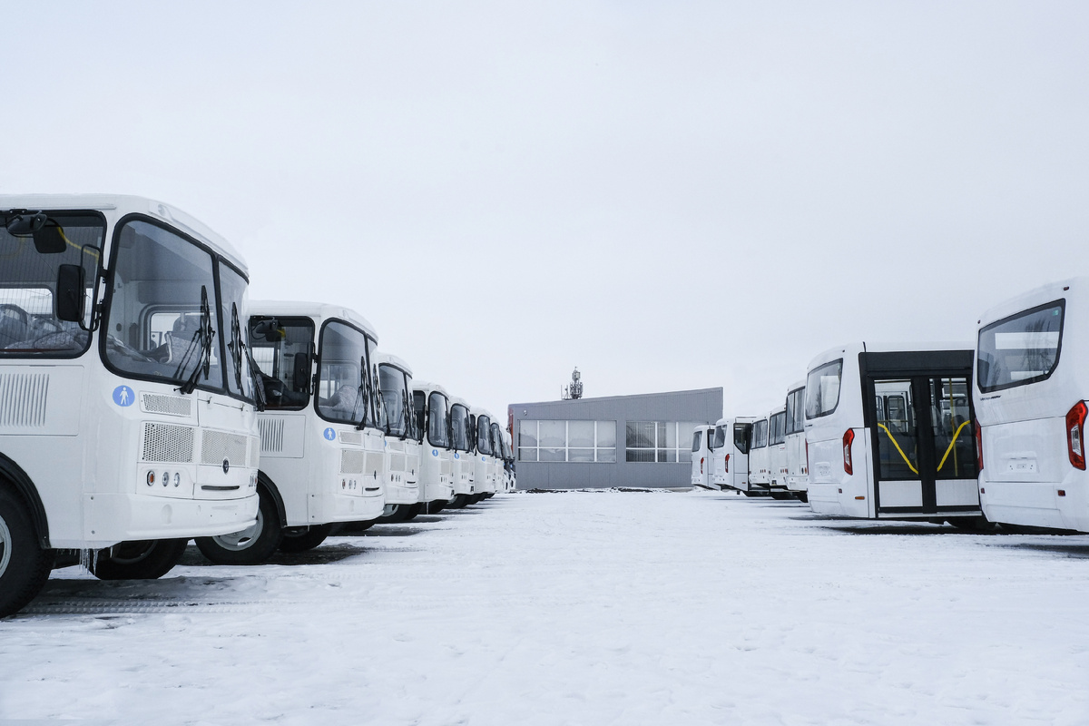 Автобусы ПАЗ в Самаре. Фото компании "Луидор"