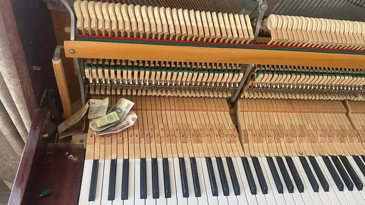     Автор: Газета «Молот»