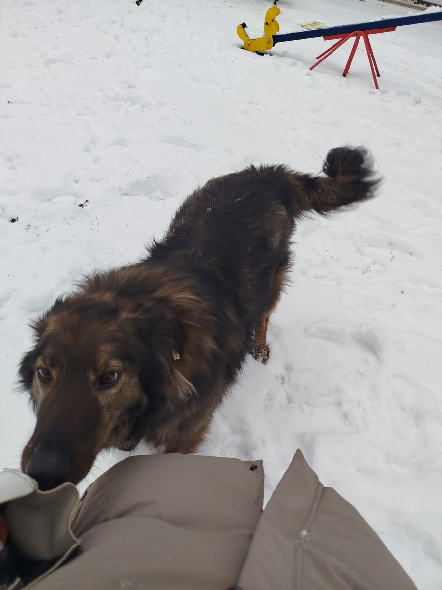 Дружок-пират