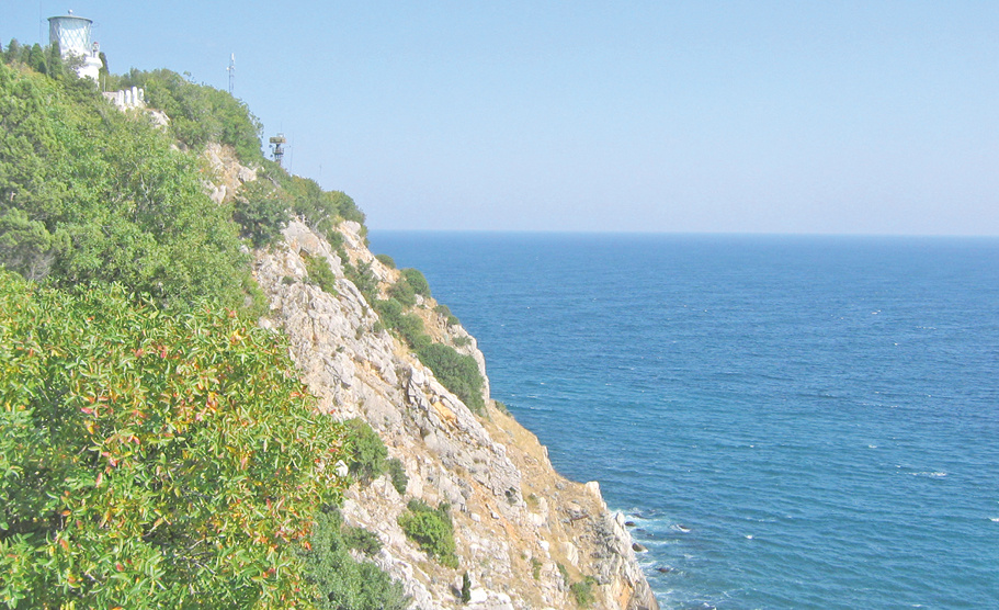 Фото: Иван Коваленко