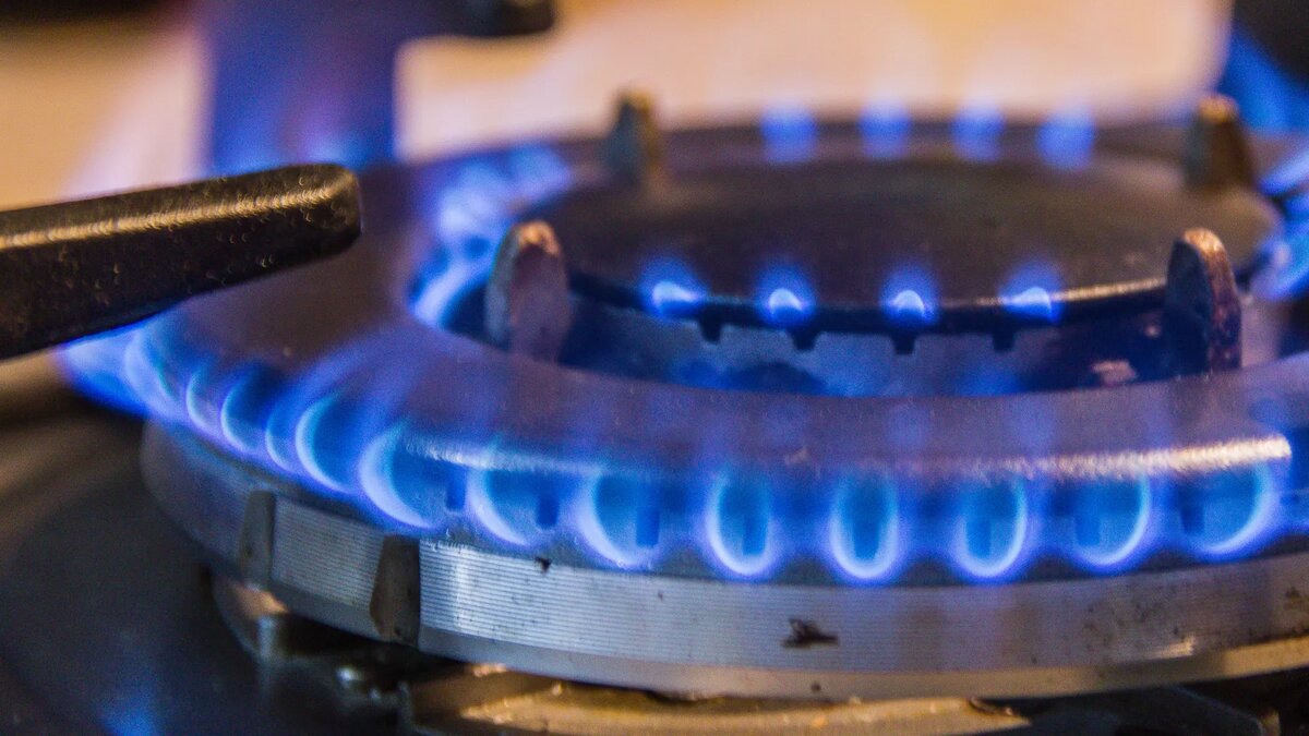 © photo: Sputnik / Stringer