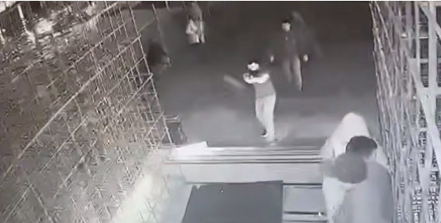 Фото: скрин видео камеры наблюдения.