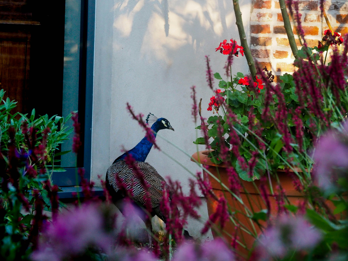 Картинка с бесплатного фотостока https://unsplash.com, автор van asten maarten