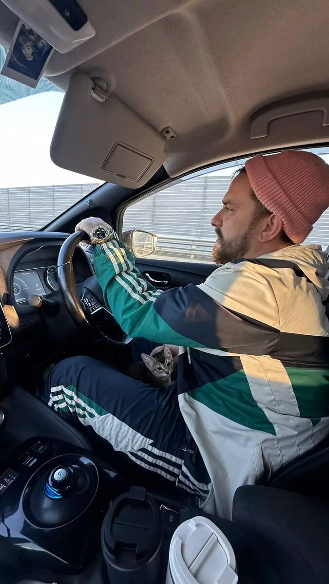     Автор: Юлия Миронова