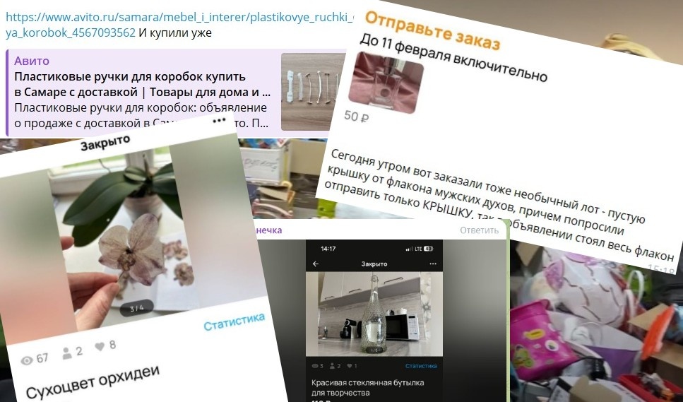    Скриншот 10-02-2025 111443(1)