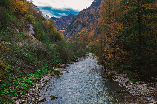 Фото: Евгений Шивцов/ТАСС