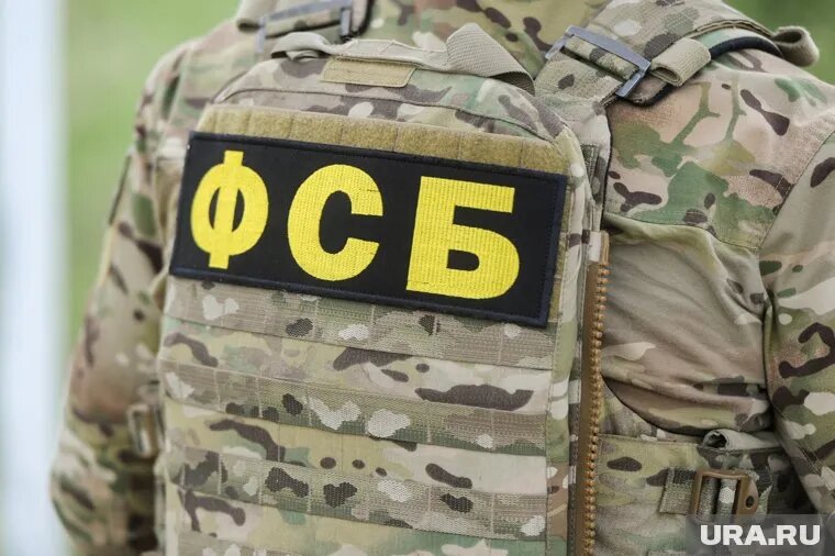 Сотрудники ФСБ задержали Александра Демина. Фото: Вадим Ахметов © URA.RU