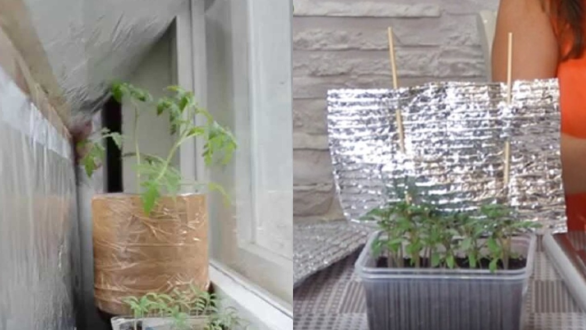 Простой способ усилить освещение без специальных ламп