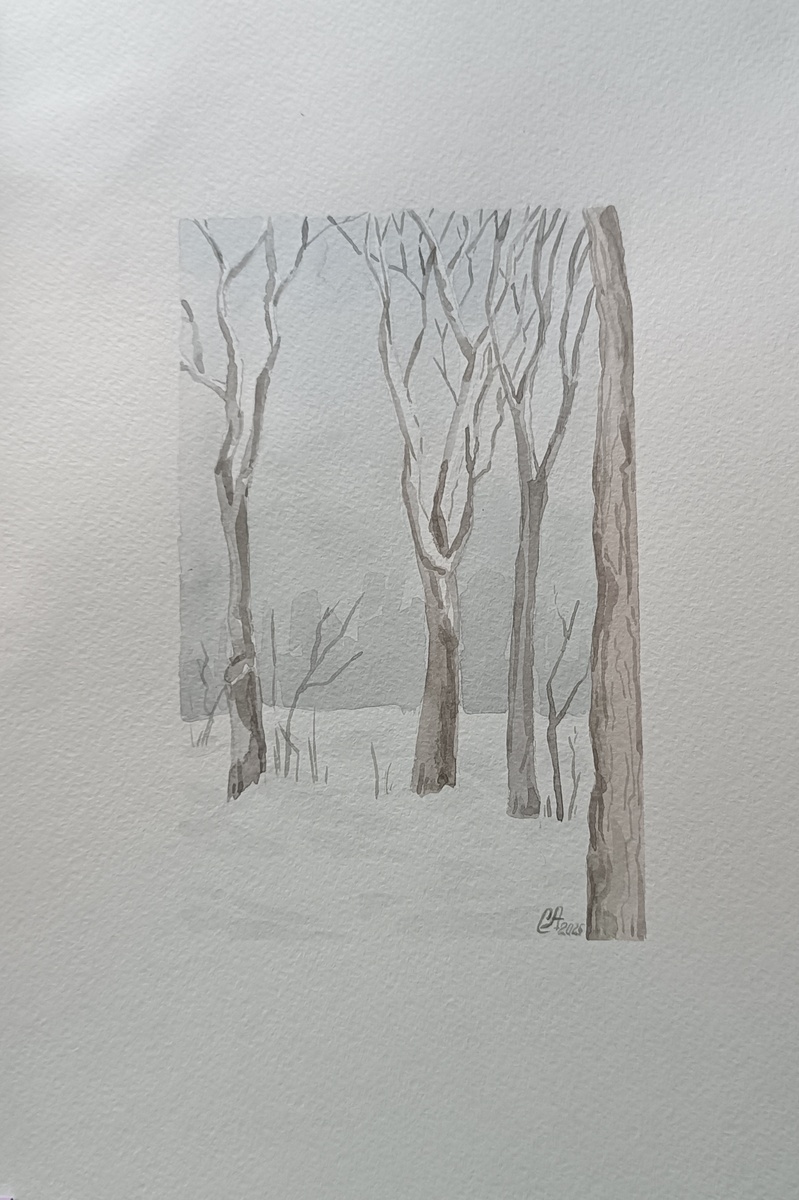 В живую она наполнена серо-синими оттенками, более глубоким коричневым цветом.