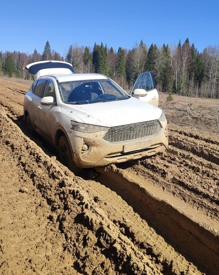 Первый выезд за грибами весной 2024 года, немного не доехали. И такое бывает.