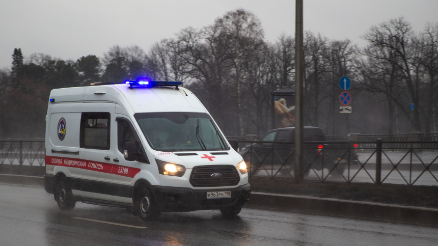    Фото: ИЗВЕСТИЯ/Телеканал «78»