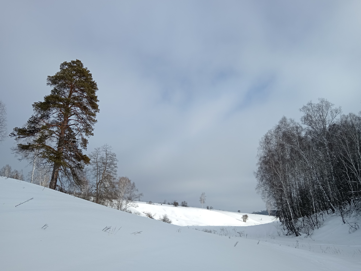 Ширяевский овраг. Национальный парк Самарская Лука. Февраль 2025. Фото автора. 