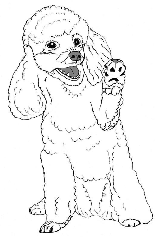 Рисунок автора