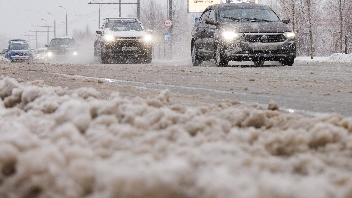    Фото: Sergey Elagin/globallookpress.com