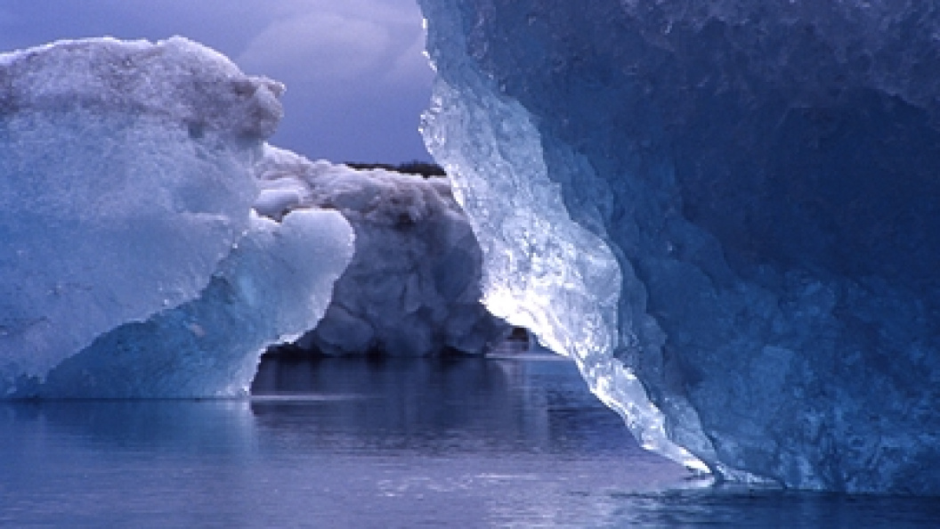    Terry Martin/Globallookpress