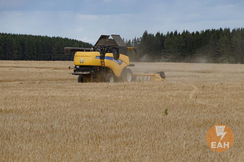    ЕАН. Архивное фото