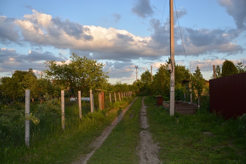 Наше СНТ в Подмосковье