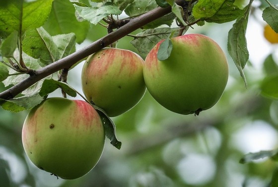    Сергей Булкин/NEWS.ru