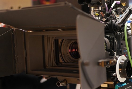    Shutterstock/FOTODOM