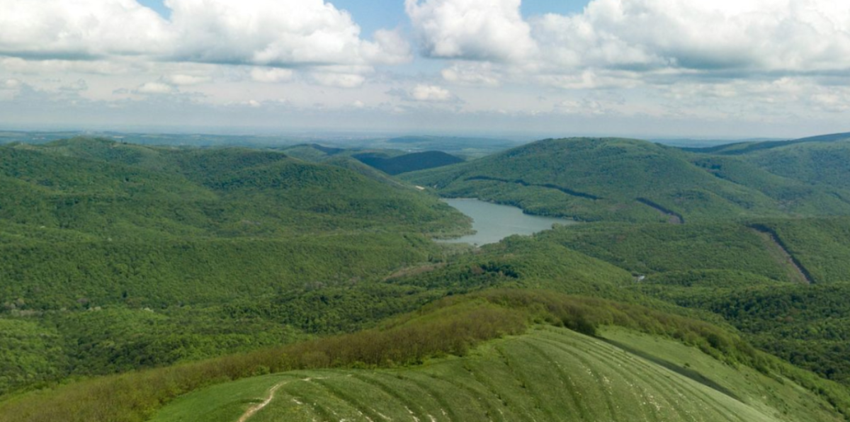 Фото: Утренний Юг