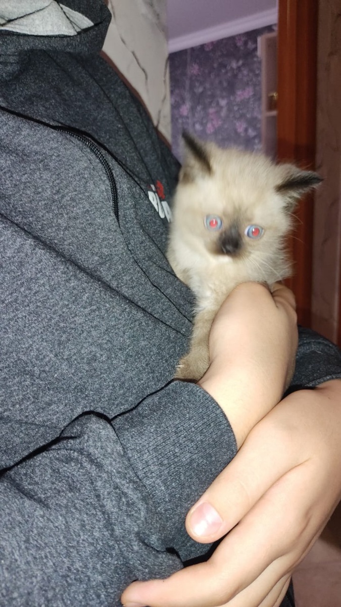 первый день, на руках у сына