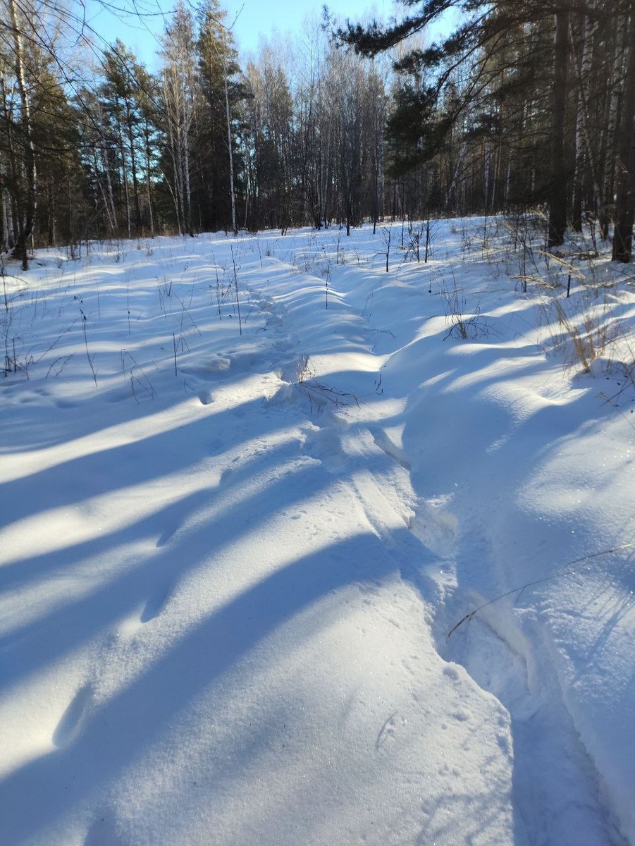не все коту масленница, не все бегуну дороги