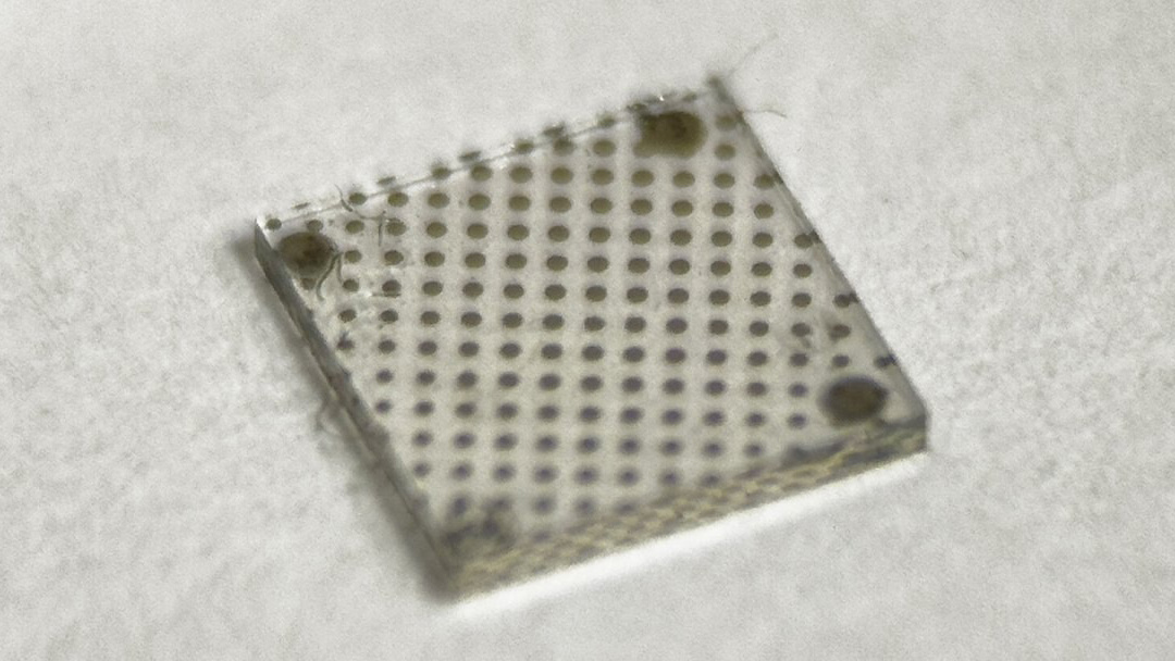 Фото: СПбГЭТУ «ЛЭТИ» им. В​.И. Ульянова (Ленина)
