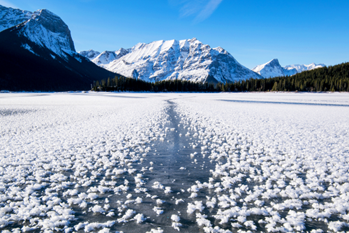 Инеевые цветы.