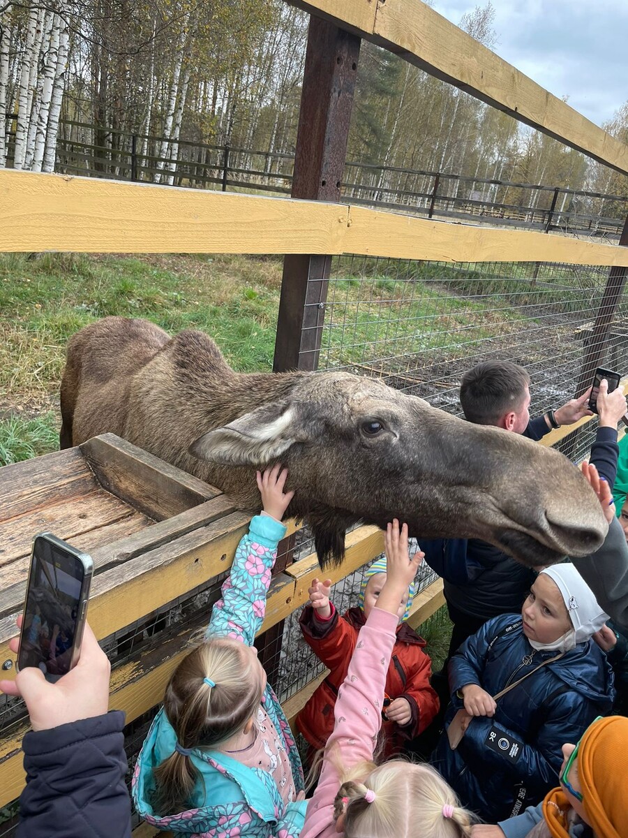 Лосиная Биостанция © "Покажу Москву"