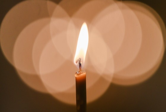    Сергей Булкин/NEWS.ru