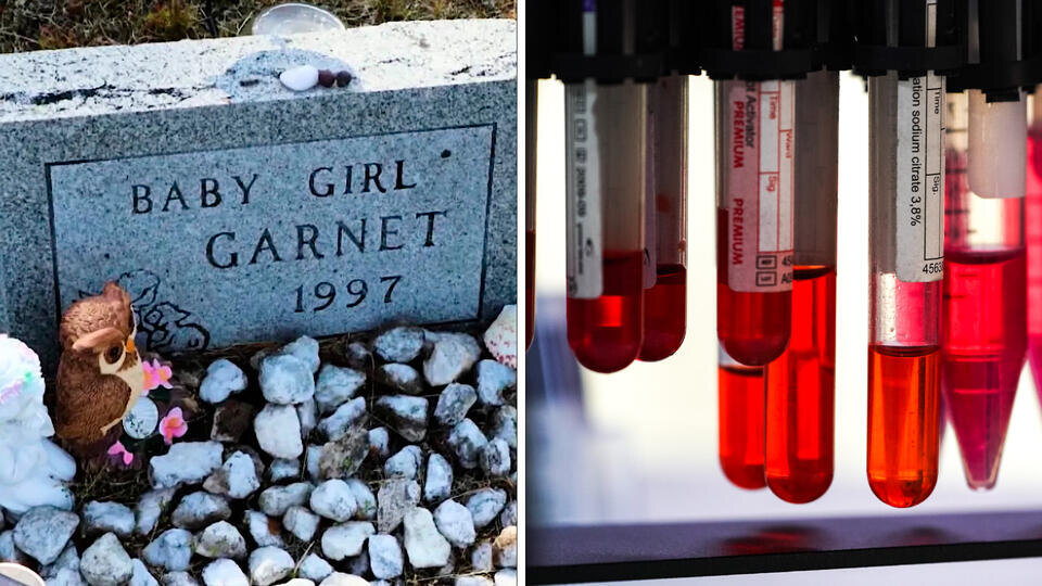 Фото: © Использованы материалы: кадр из программы "Невероятно интересные истории", РЕН ТВ, ИЗВЕСТИЯ/Сергей Лантюхов