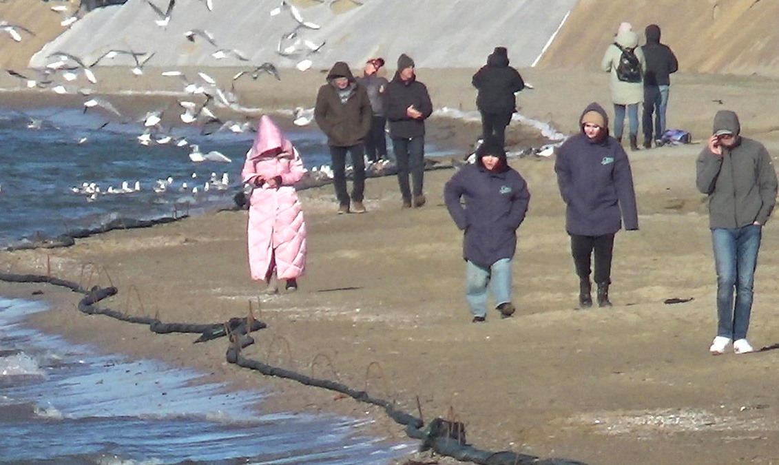 Анапчане и гости Анапы гуляют по берегу моря