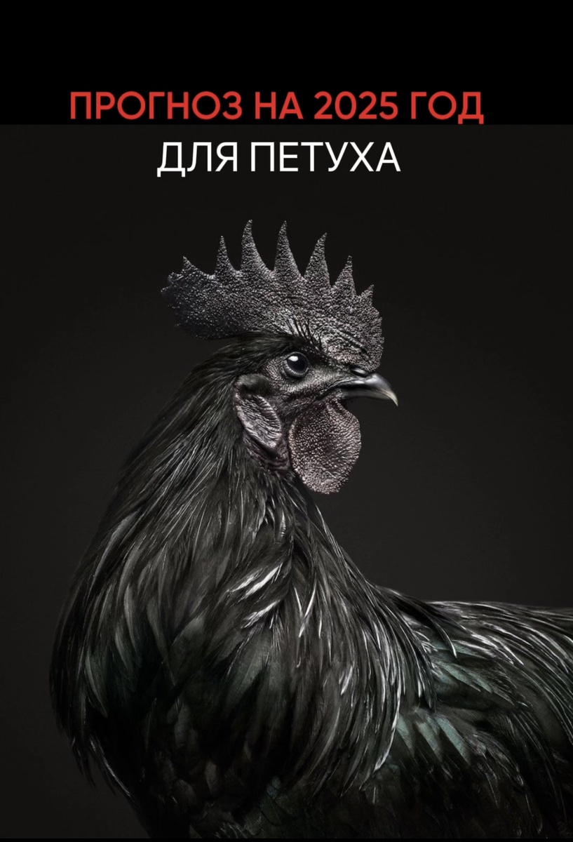 Индивидуальный прогноз по каждому элементу личности на 2025 год можно забрать здесь 👇