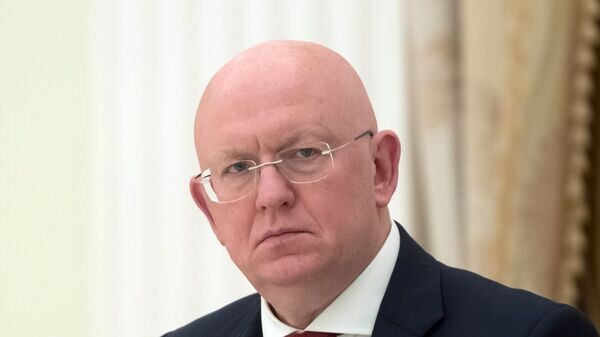    © Sputnik / Сергей Гунеев