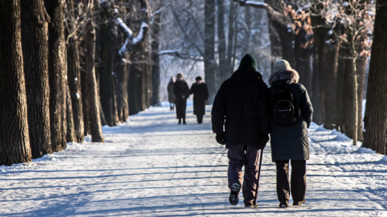    В Свердловской области ожидается снижение температуры воздуха из-за циклона Богдан Герцен