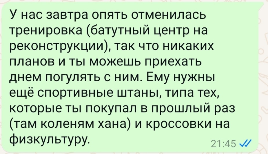 Скрин моего сообщения отцу-молодцу.