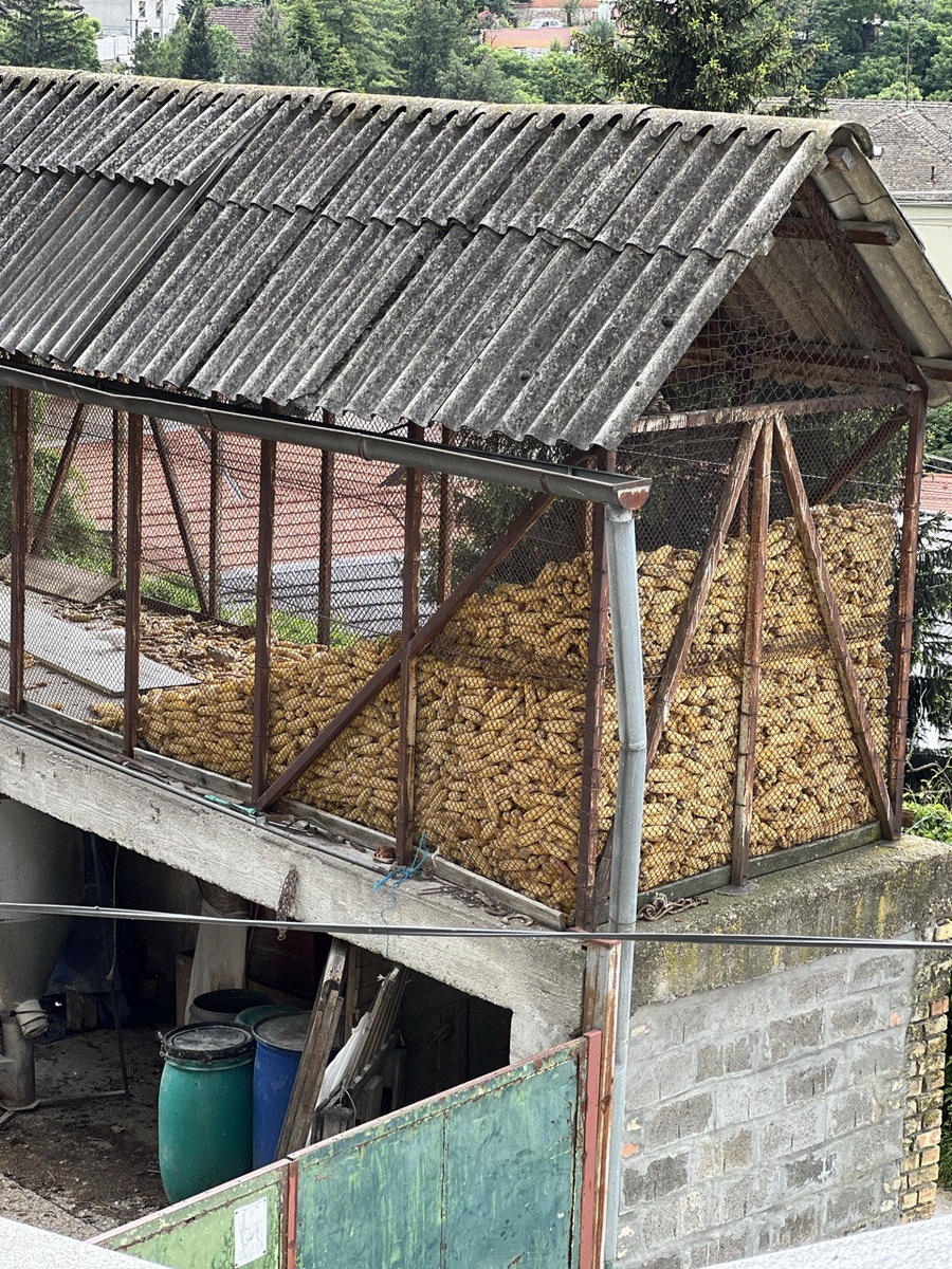 Котобаня в Сремски-Карловицах, дешевый вариант сушки кукурузы.