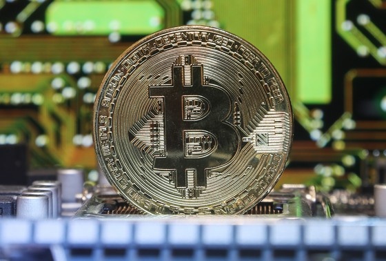    Сергей Булкин/NEWS.ru