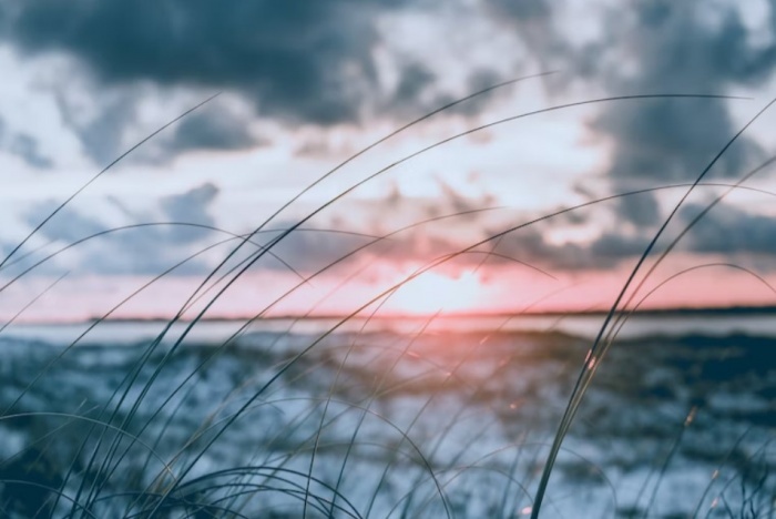    unsplash.com