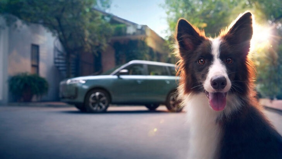 Фото Jaecoo  📷
