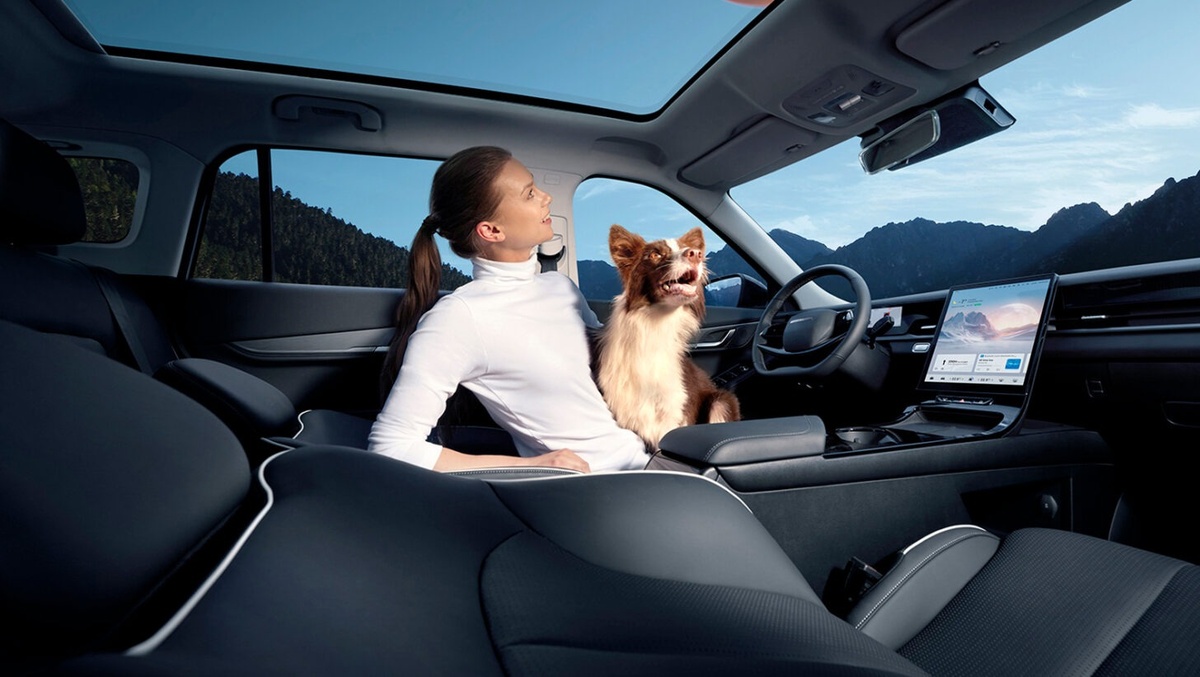 Фото Jaecoo  📷
