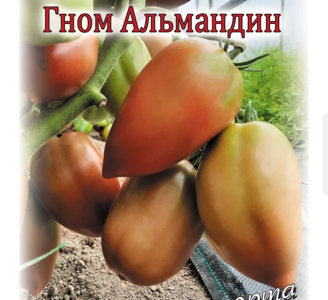 Фото из интернета