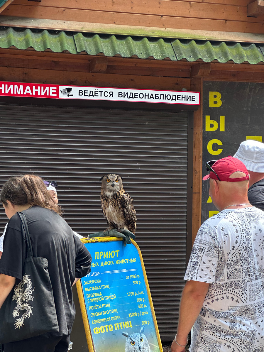 Где-то на Куршской косе