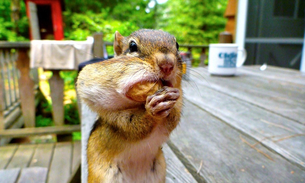 Как то так...