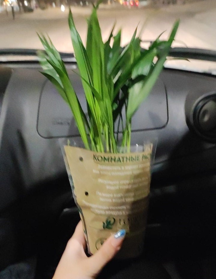 Это Оду-Ван едет домой. Фоточка, конечно, отстой, но мне не терпелось поделиться